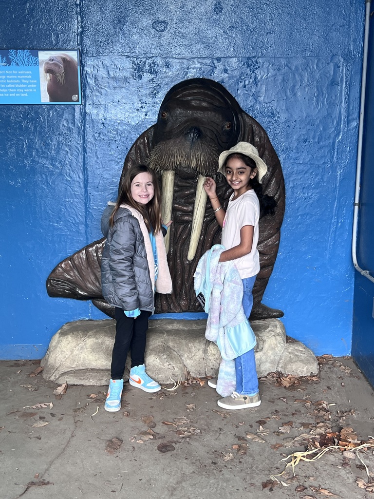 CES 3rd grade trip to the Indy Zoo