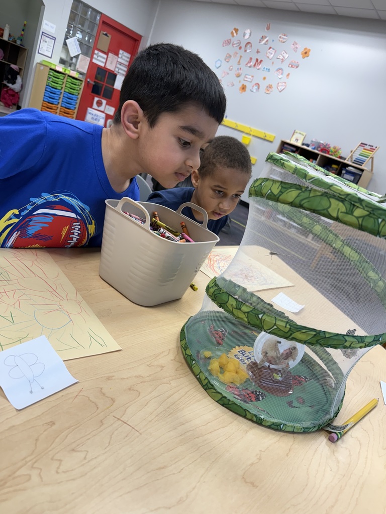 CES Pre-K and butterflies