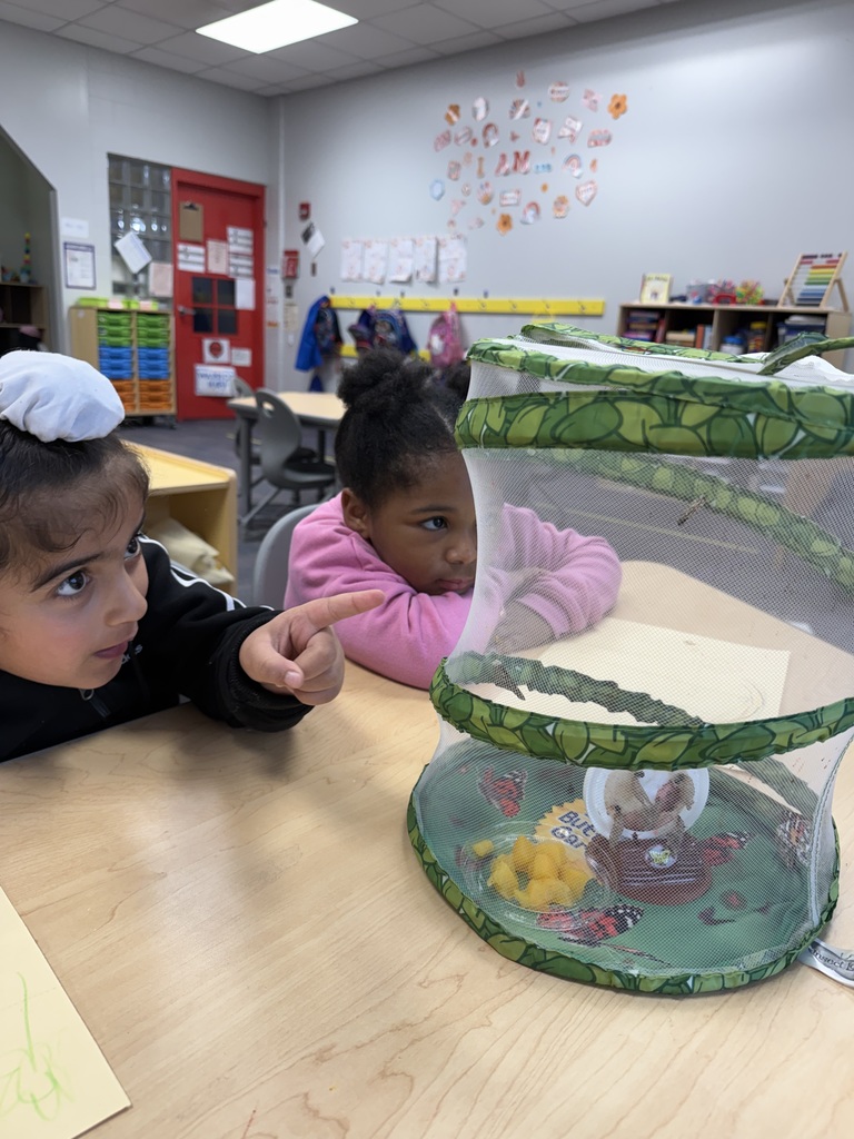 CES Pre-K and butterflies