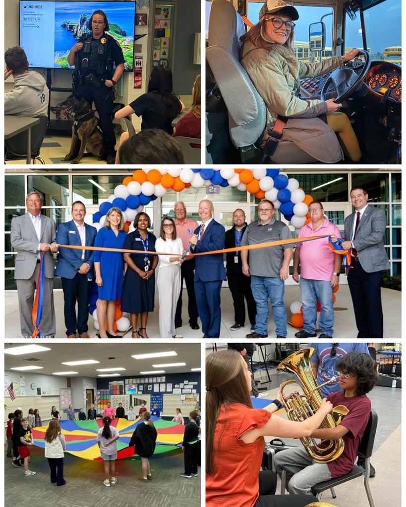Photo Collage of activities
