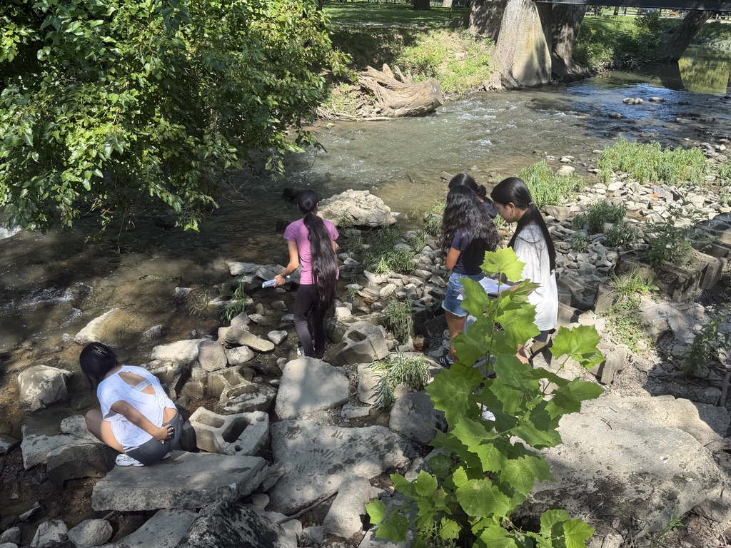 Students gathering items in water