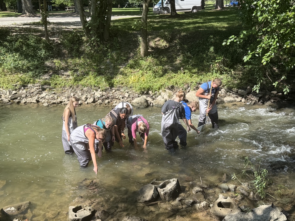 Students collecting items in water