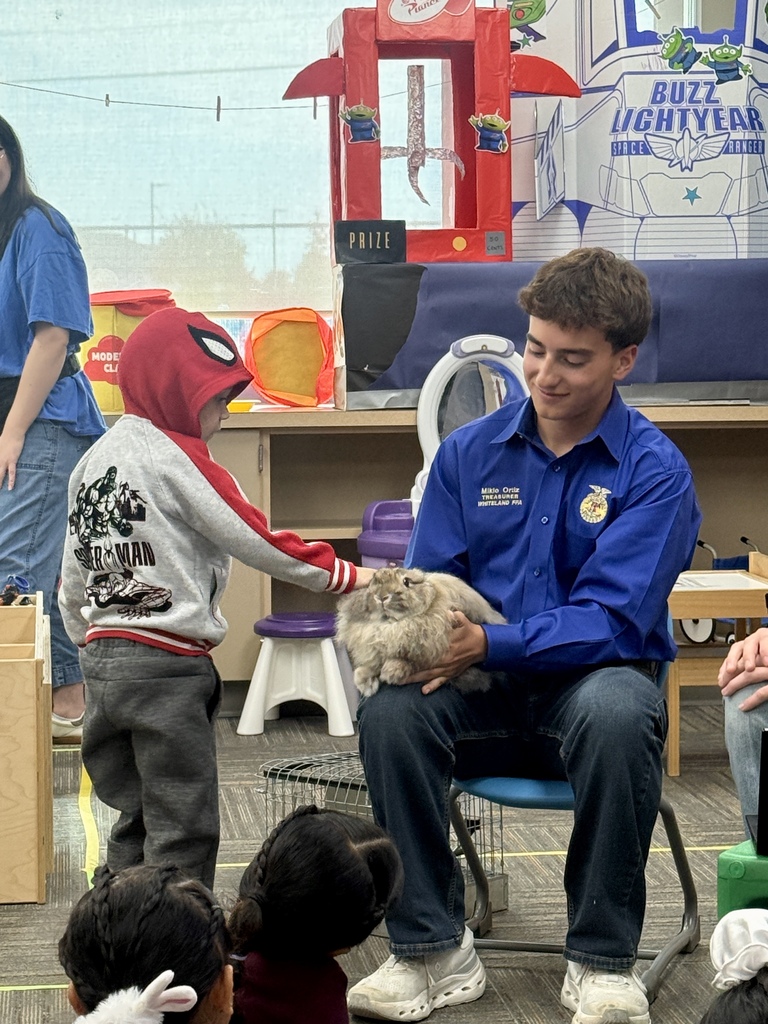 petting the  rabbit
