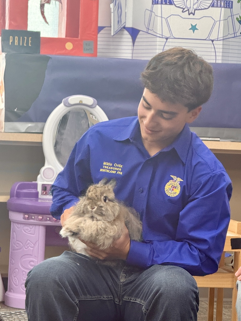 presenting the rabbit