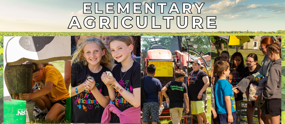 elem ag