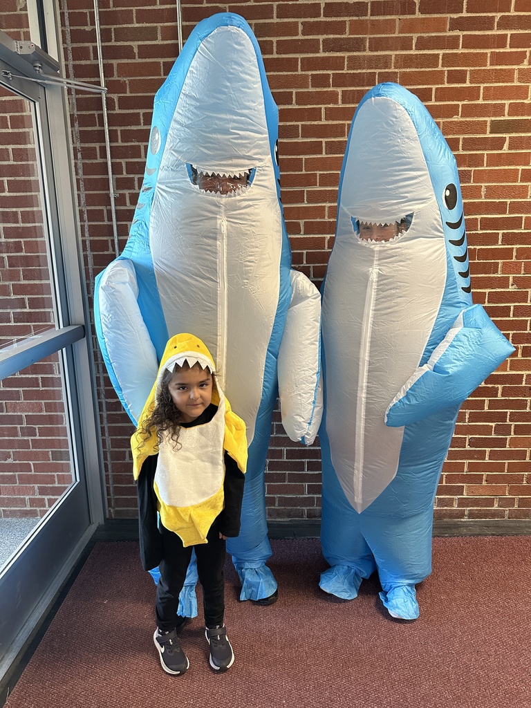 sharks