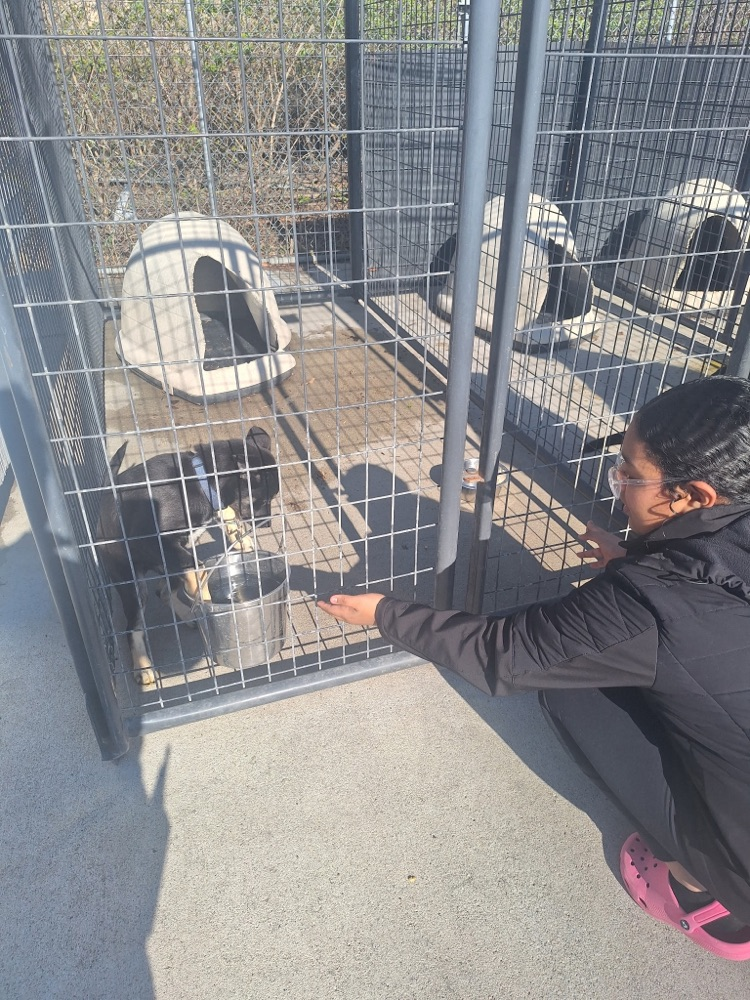 CCMS students at CCAS