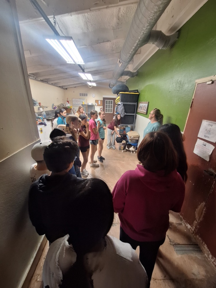 animal shelter visit 