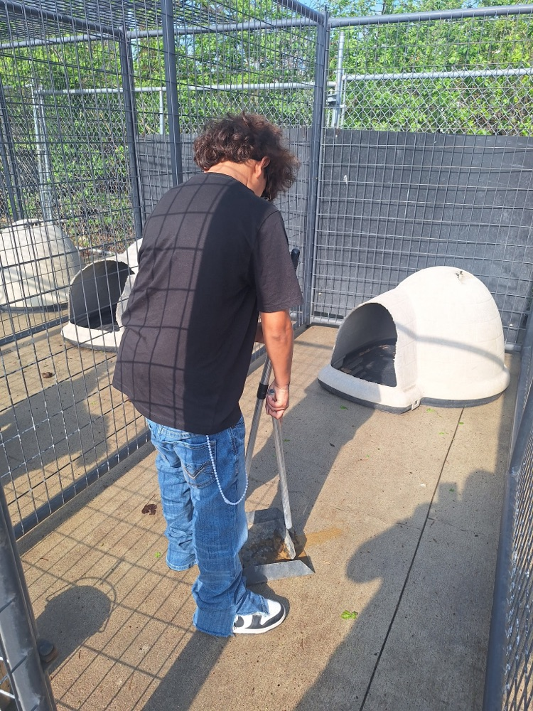 animal shelter visit 