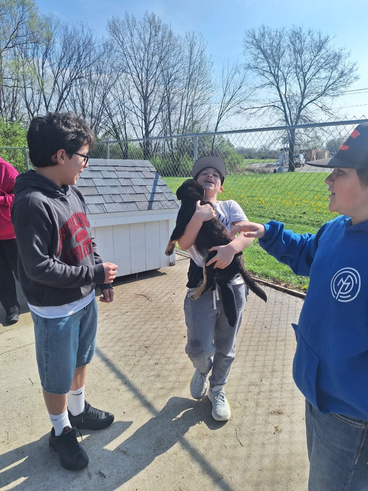 animal shelter visit 