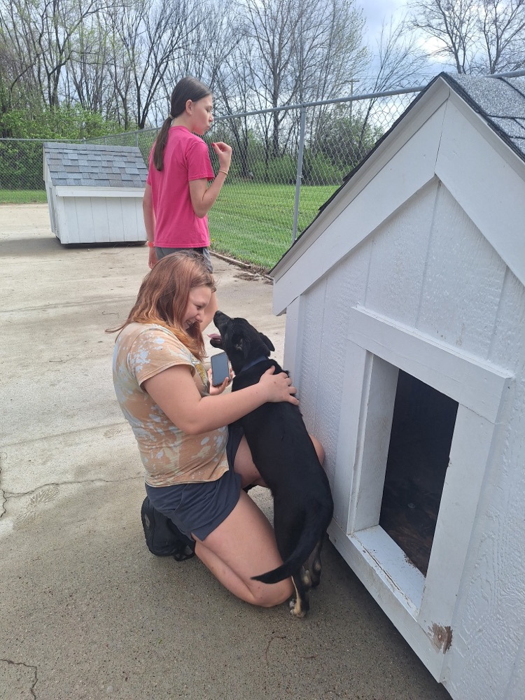 animal shelter visit 