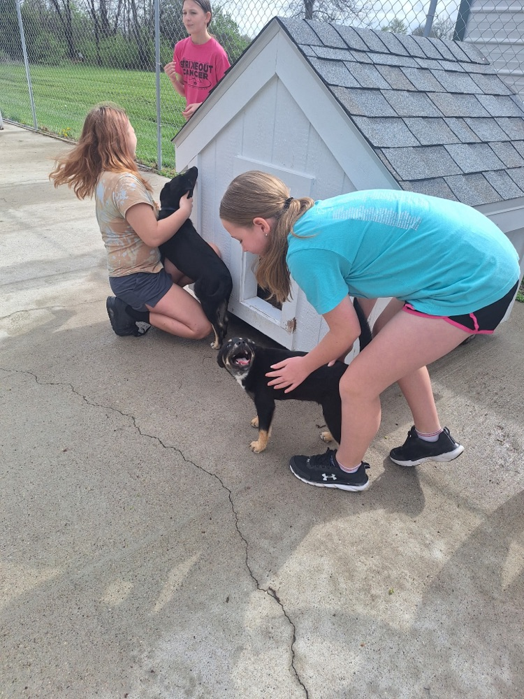 animal shelter visit 