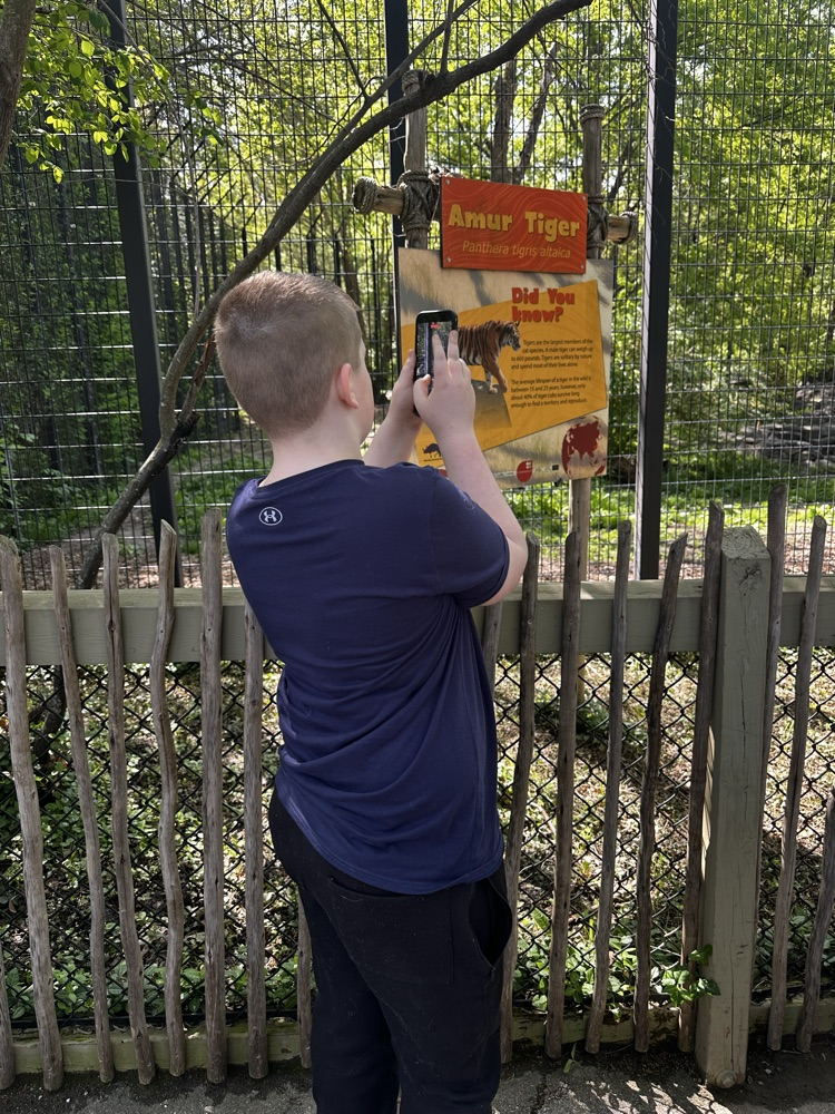 zoo 