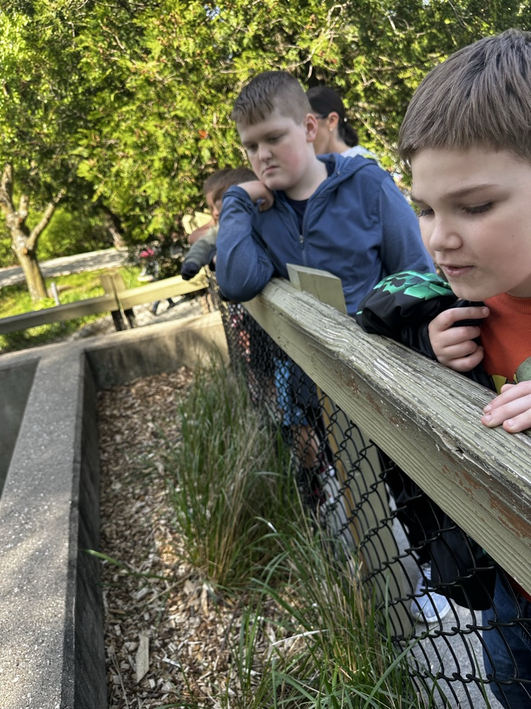 zoo 