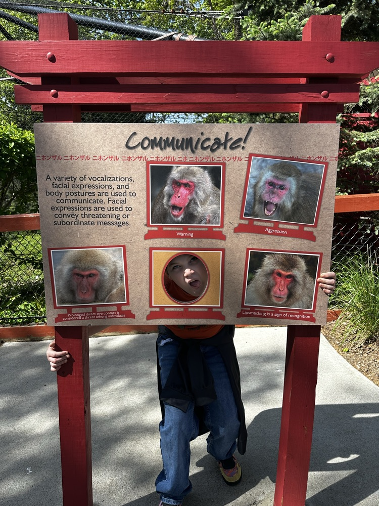 zoo 