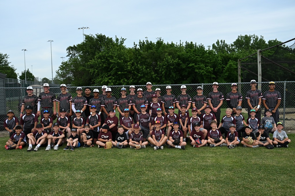 baseball teams