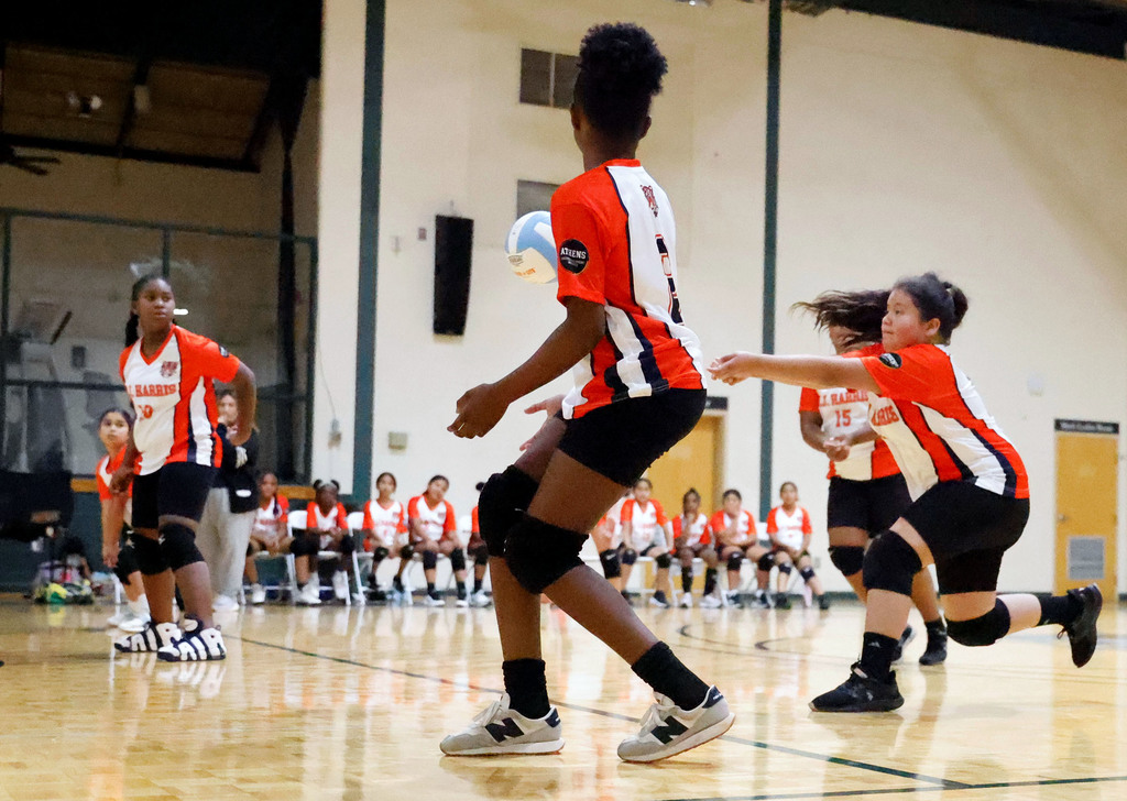 Volleyball