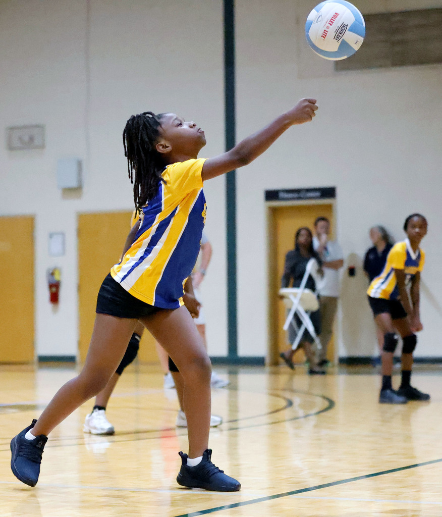 Volleyball
