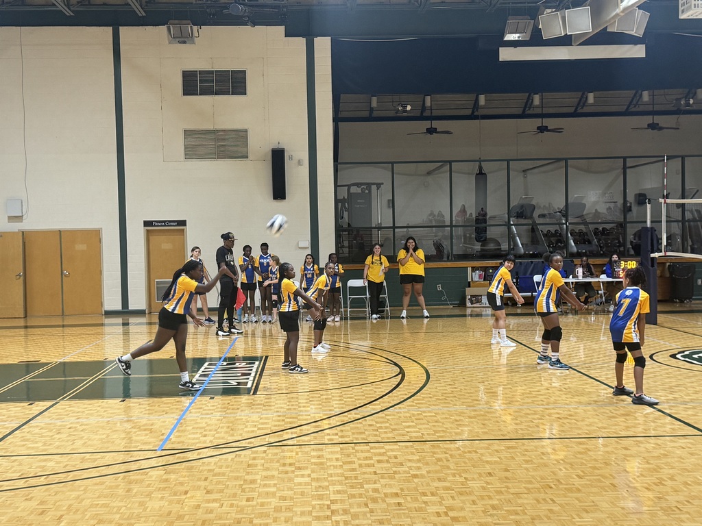 OAES volleyball