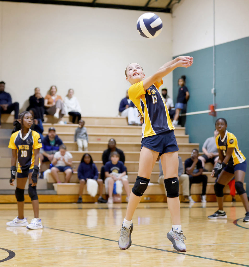 Volleyball