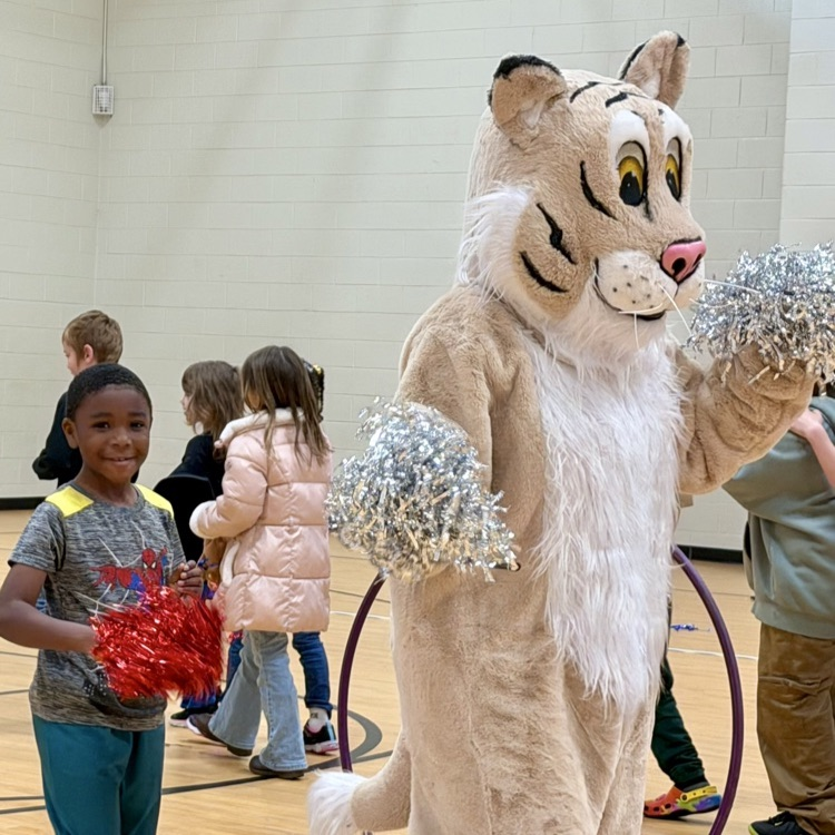 pawsley watches the sorting ceremony