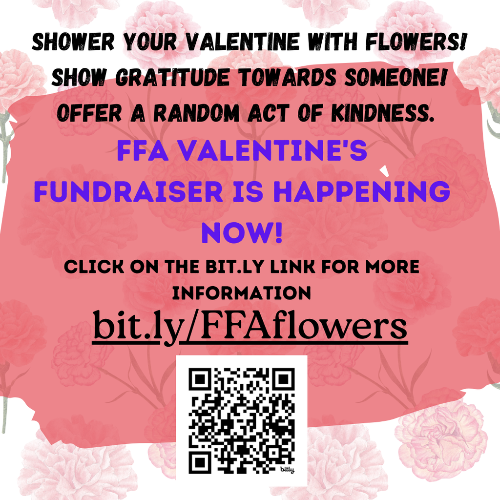 Fundraiser for FFA Valentine's Day!