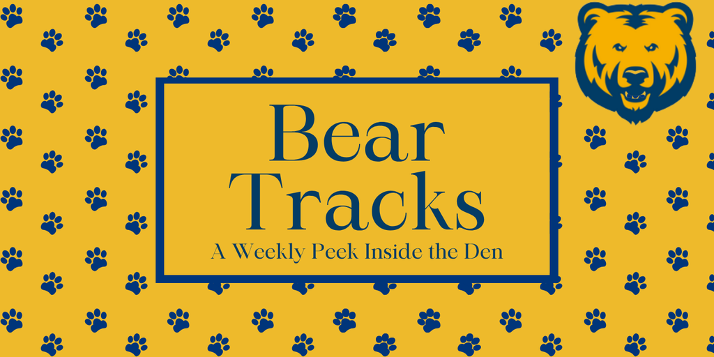 Blue and gold paws- Bear Tracks 