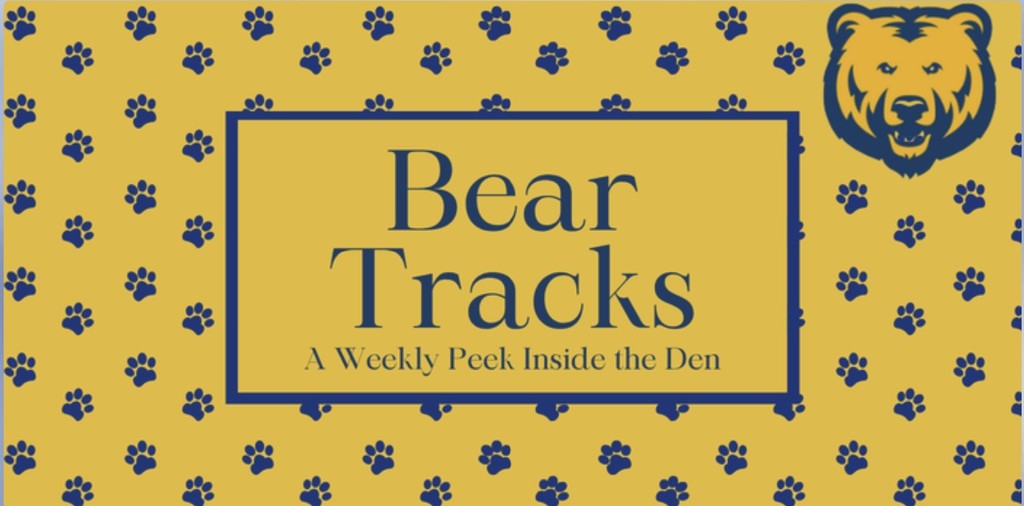 Blue and gold paws- Bear Tracks 
