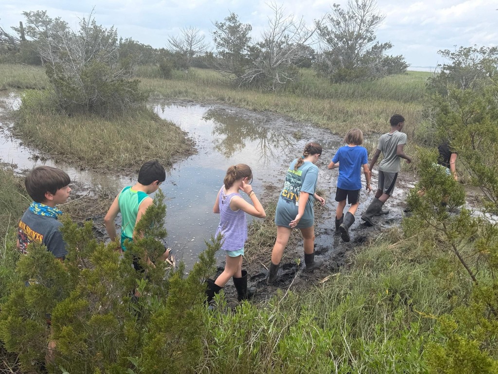OAES Tybee 2025