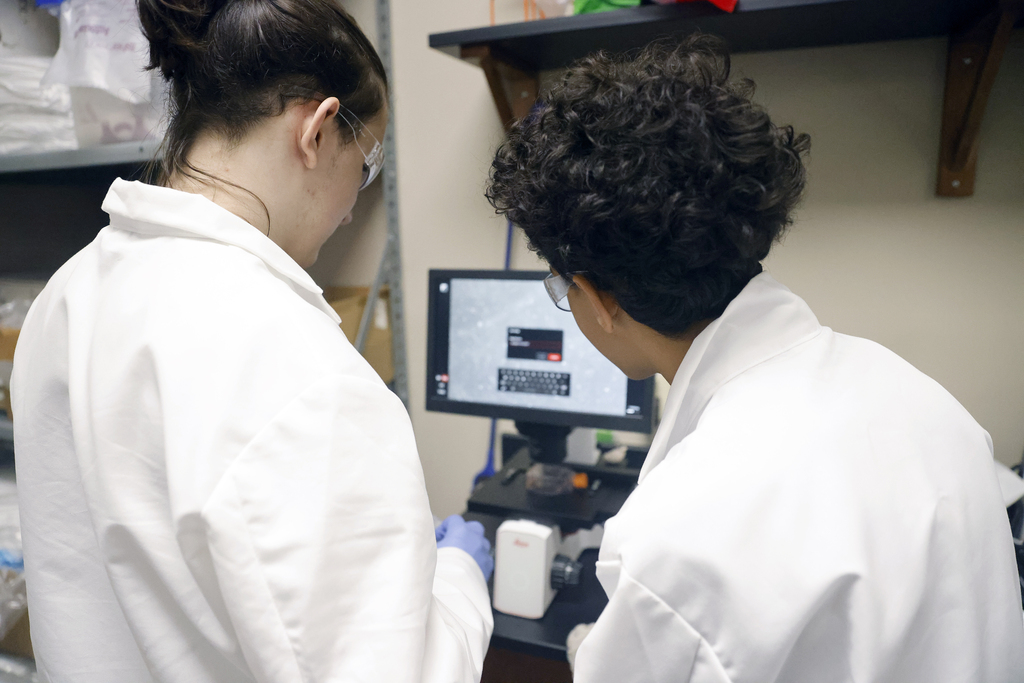 Advanced biomanufacturing students working in lab