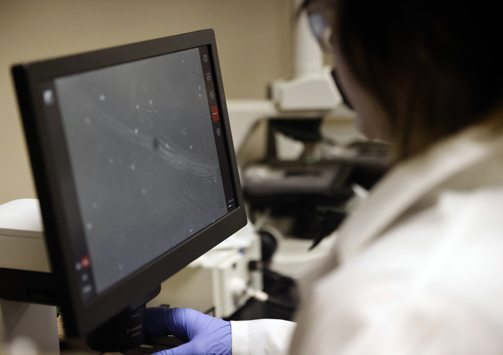 Advanced biomanufacturing student working in lab