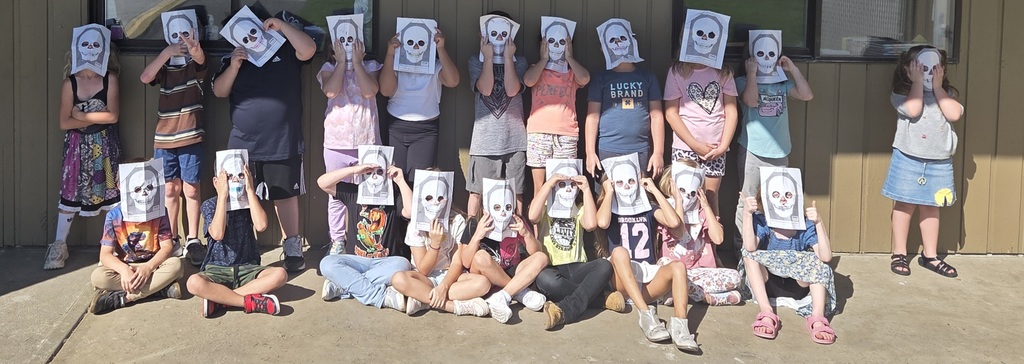 Skulls