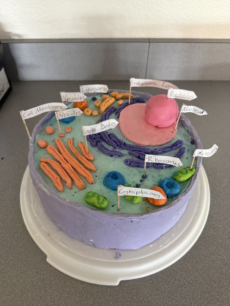 7th grade science cell project