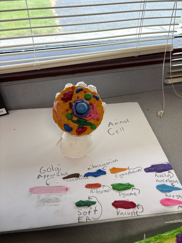 7th grade science cell project