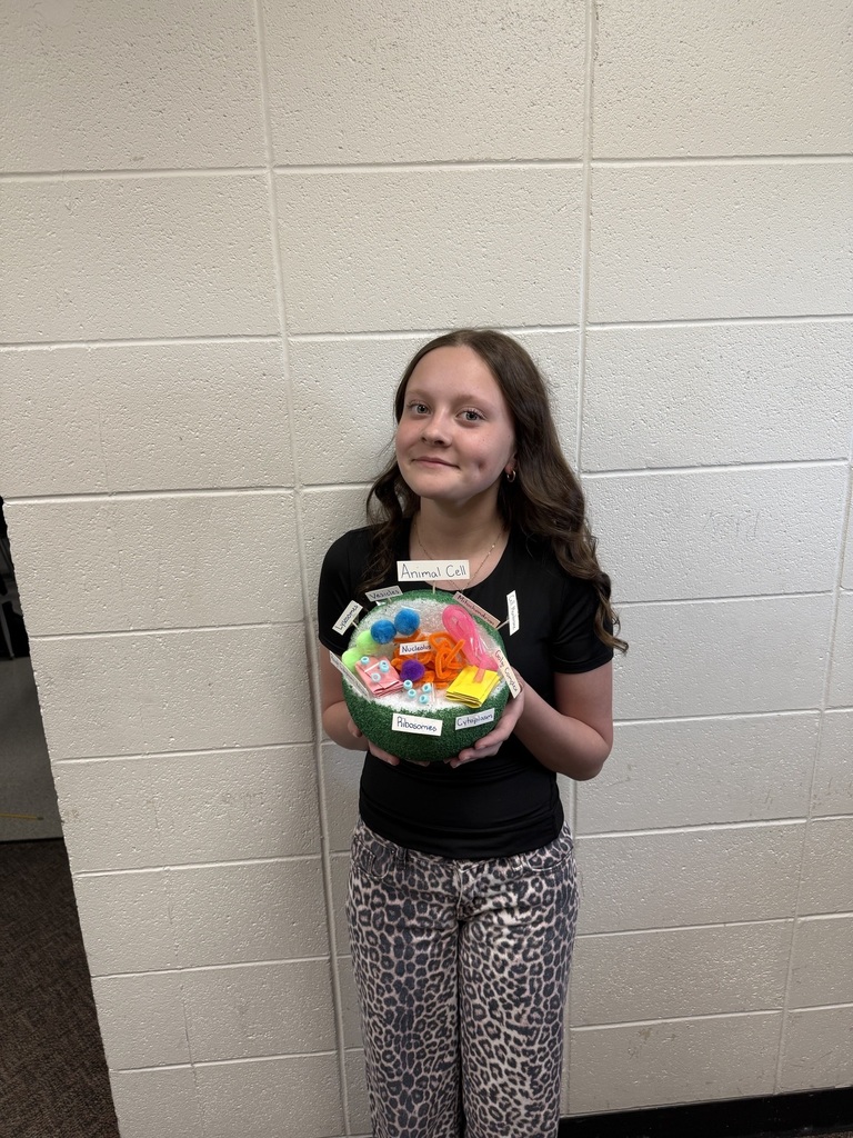 7th grade science cell project