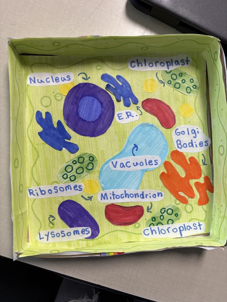 7th grade science cell project