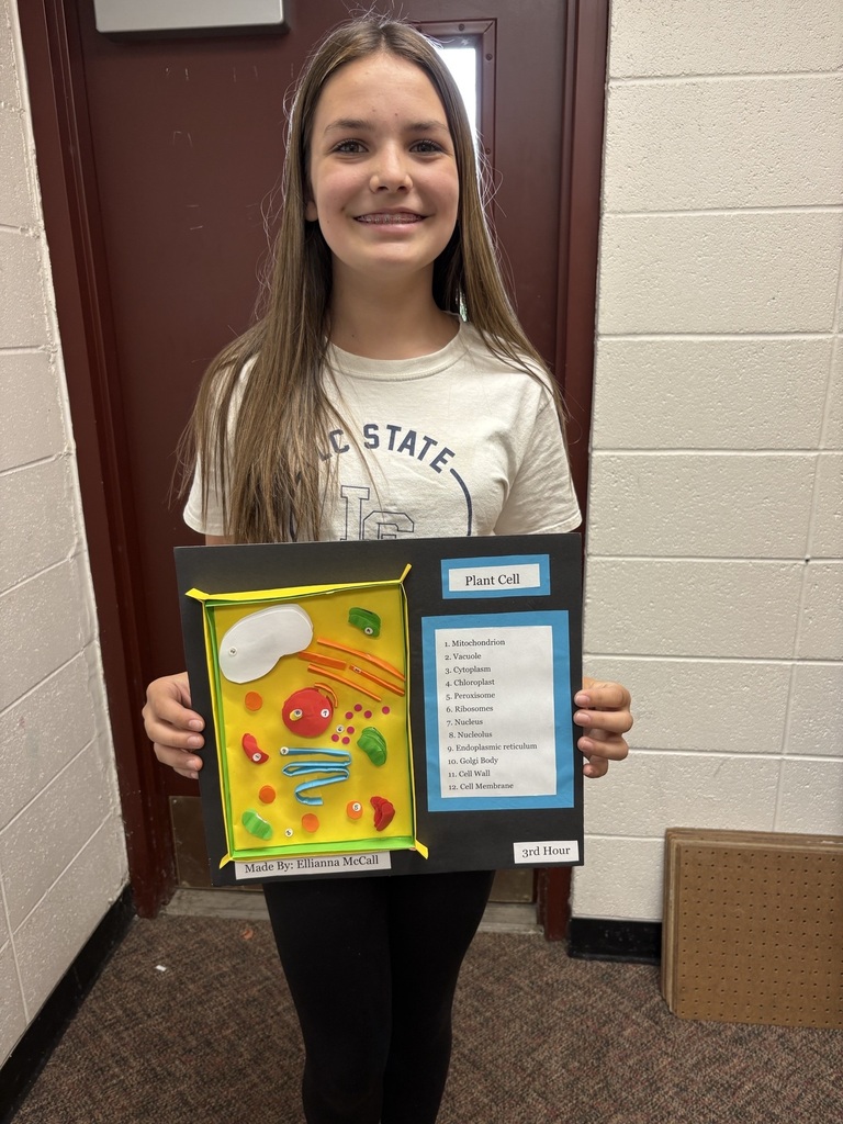 7th grade science cell project
