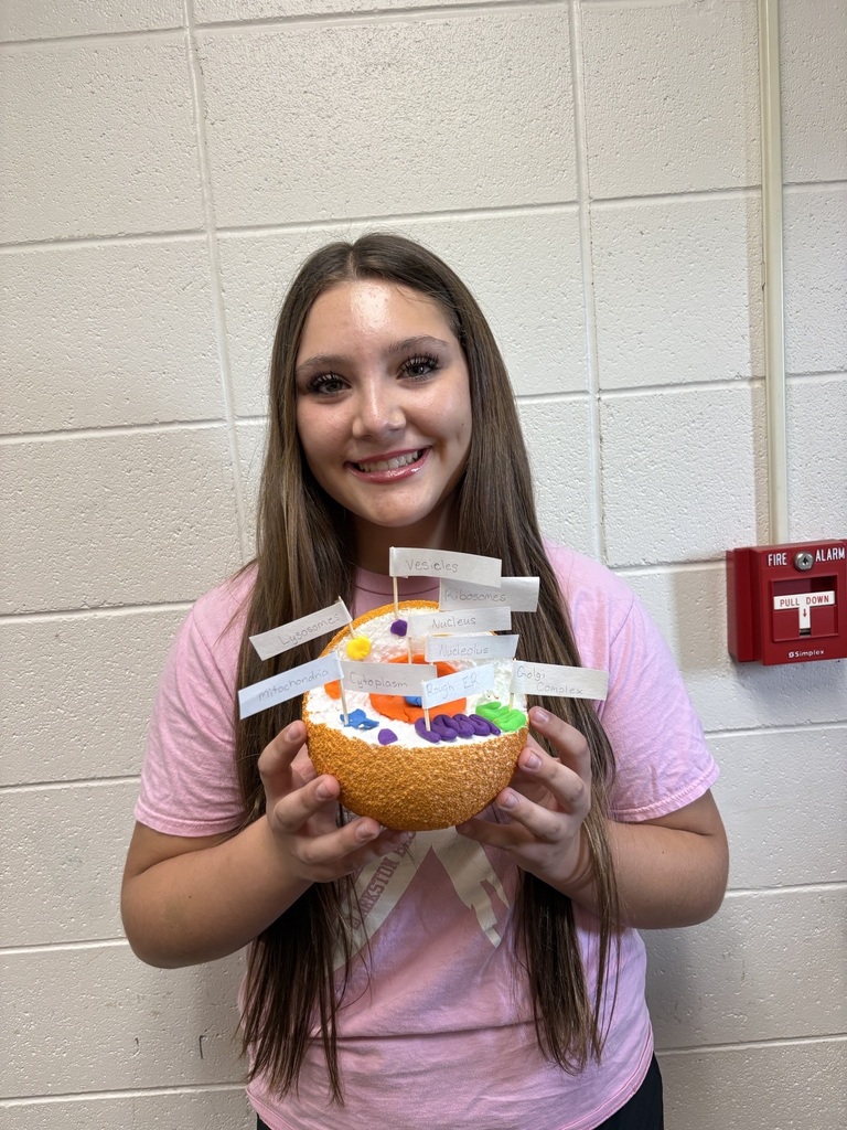 7th grade science cell project