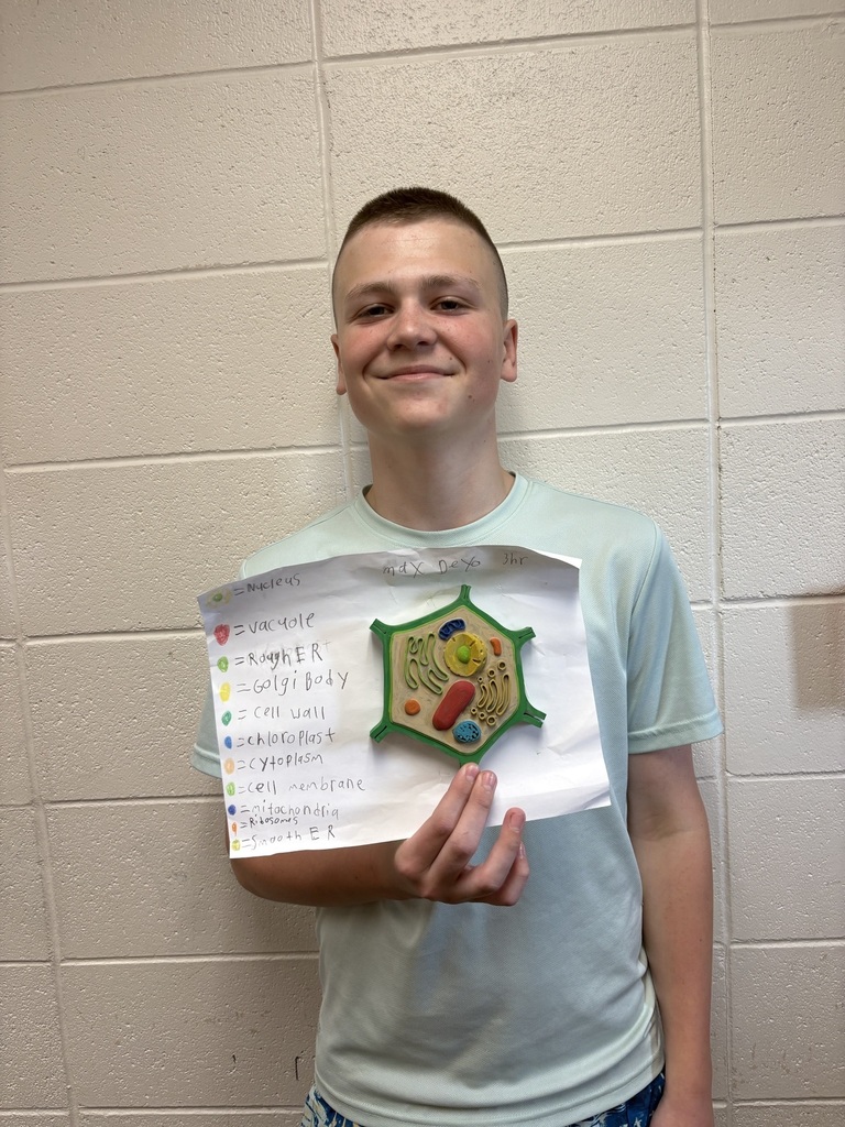 7th grade science cell project