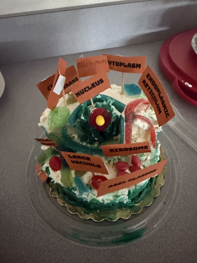 7th grade science cell project