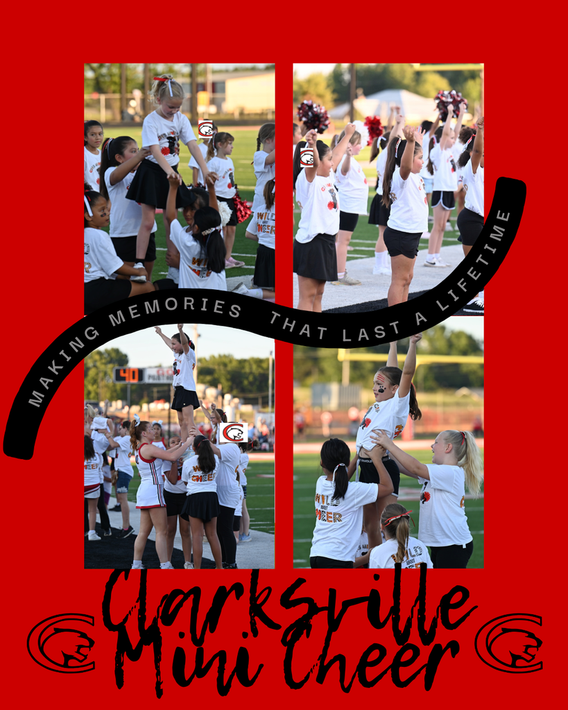 Mini Cheer 2025