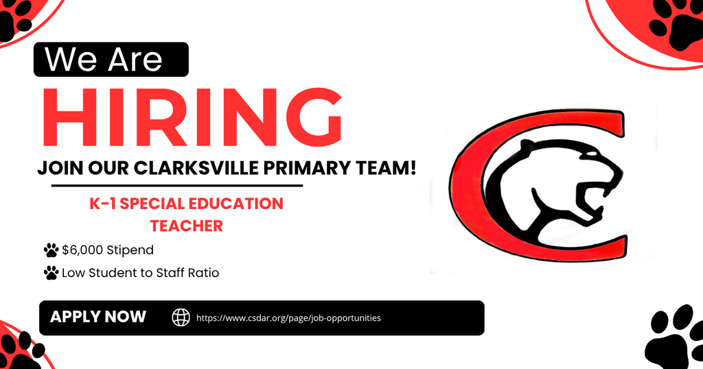 Special Education Teacher