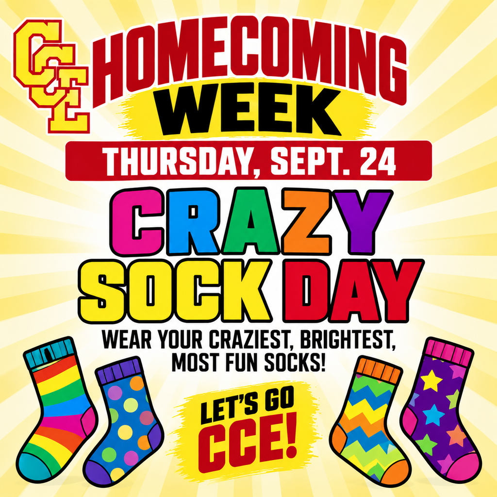 Crazy Sock Day