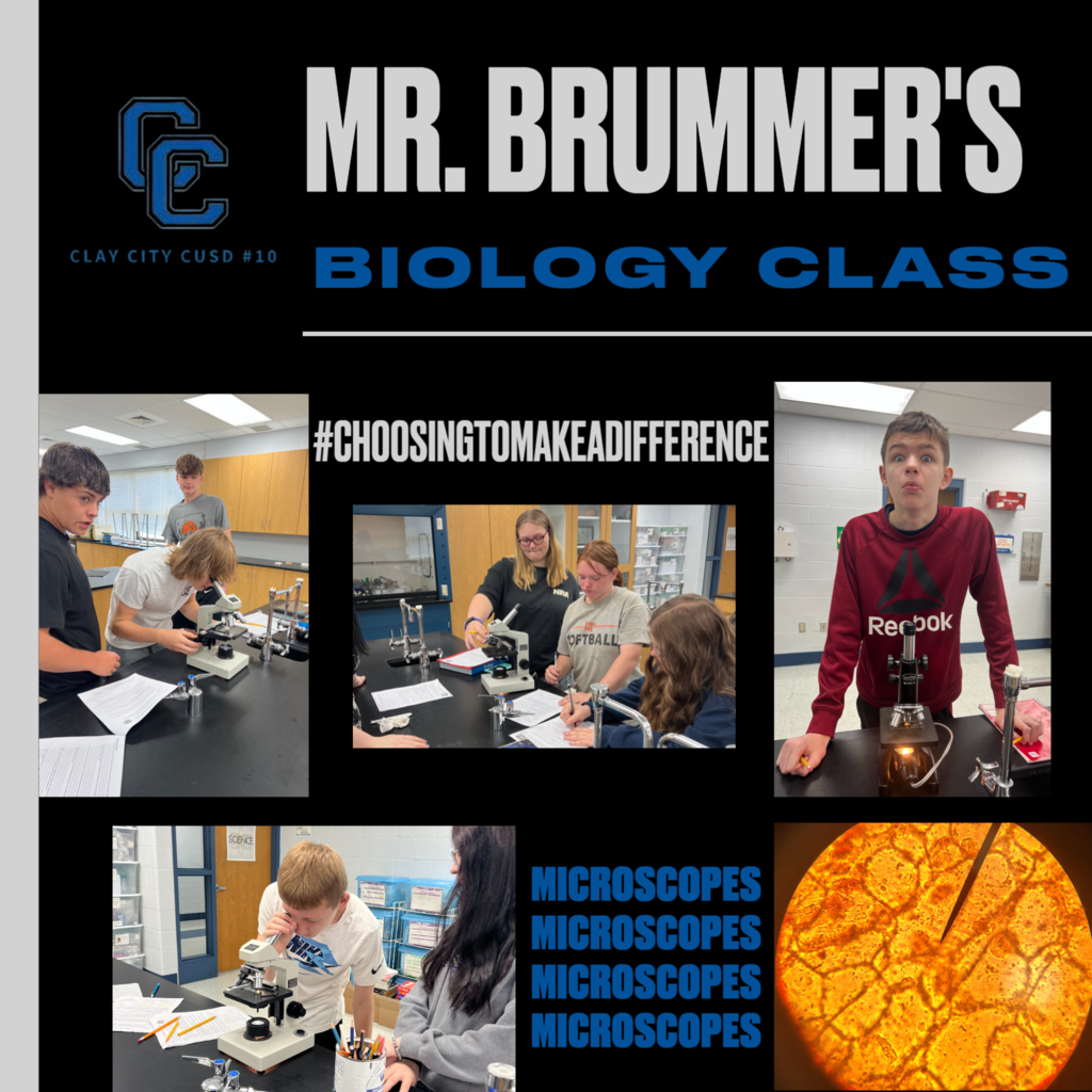 This week Mr. Brummer’s biology class has been in the lab working with microscopes. Students made wet mount slides of their cheek cells, an onion, and creek water. Everyone was most excited about finding living microscopic organisms in the creek water. Photo credit for the picture of the onion cells under the microscope goes to Harley Flexter-Rawls.