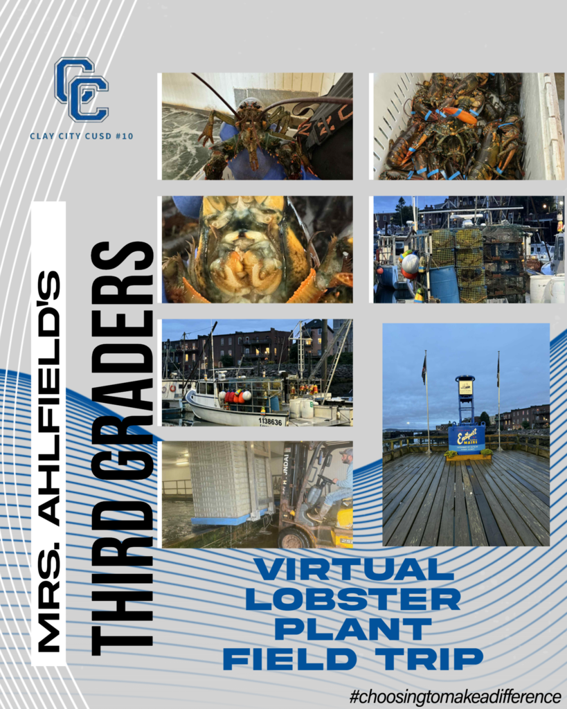 Mrs. Ahlfield's third graders went on a virtual field trip to Maine. They were able to tour a lobster plant. They learned how lobsters are caught, measured to check for keeping, and how to band their claws. They also learned what each claw is used for, and how they are stored before shipping to the store. Thank you to Mike at Inland Lobster in Eastport Maine! 