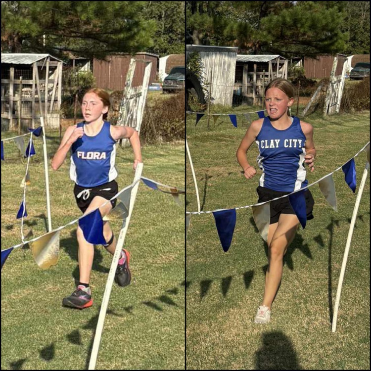 CCJH Cross Country had a great run at the Geff meet today.