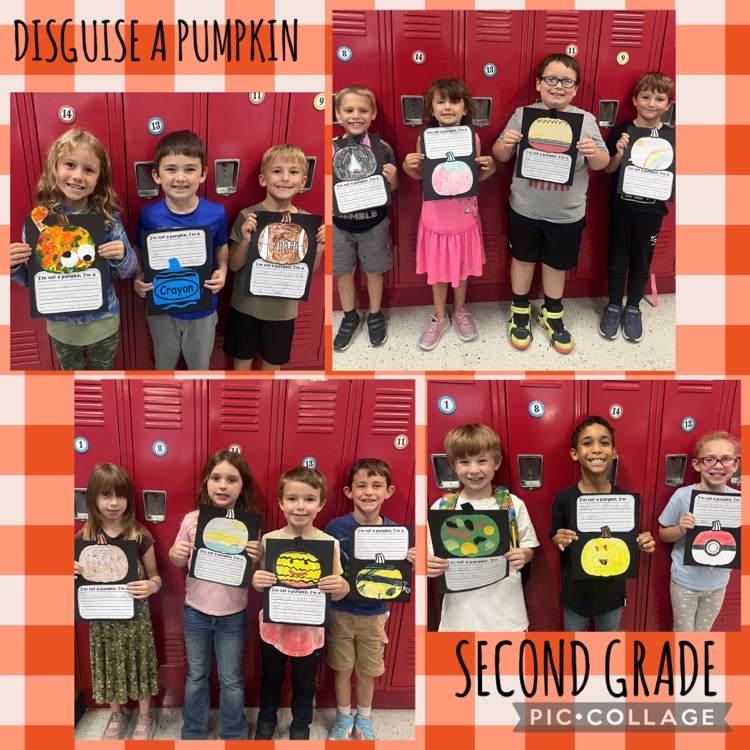 Mrs. Klein’s second graders had a great time learning to expand sentences with their Disguise a Pumpkin project!