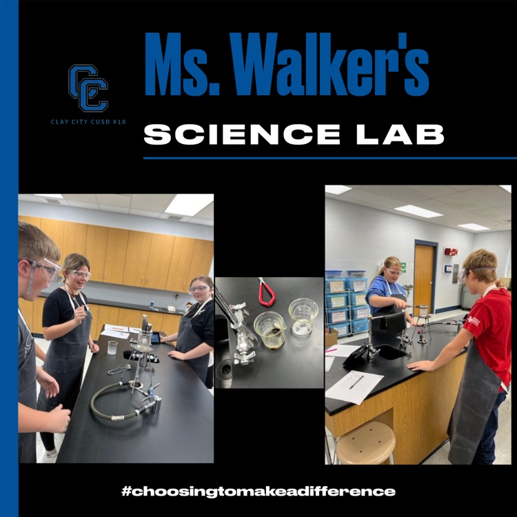 Mrs walkers science lab