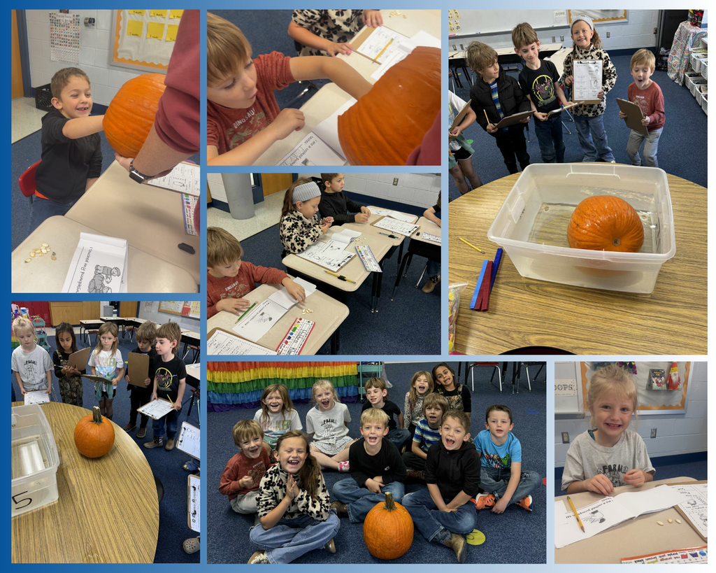 Miss Fender's first graders had an investigation in their classroom today! The students checked out a pumpkin - inside and out!