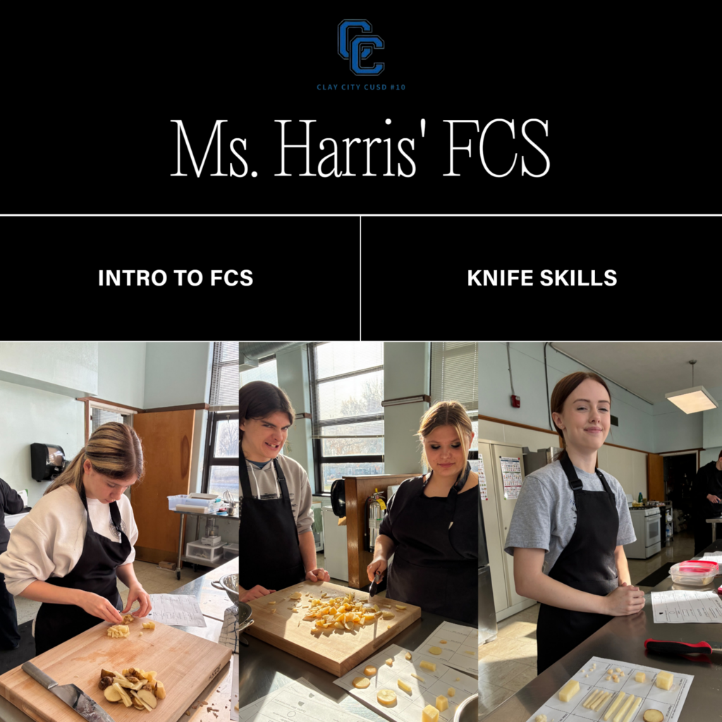 Freshmen in Ms. Harris' Intro to FCS class worked on their knife and cutting skills! Great work!